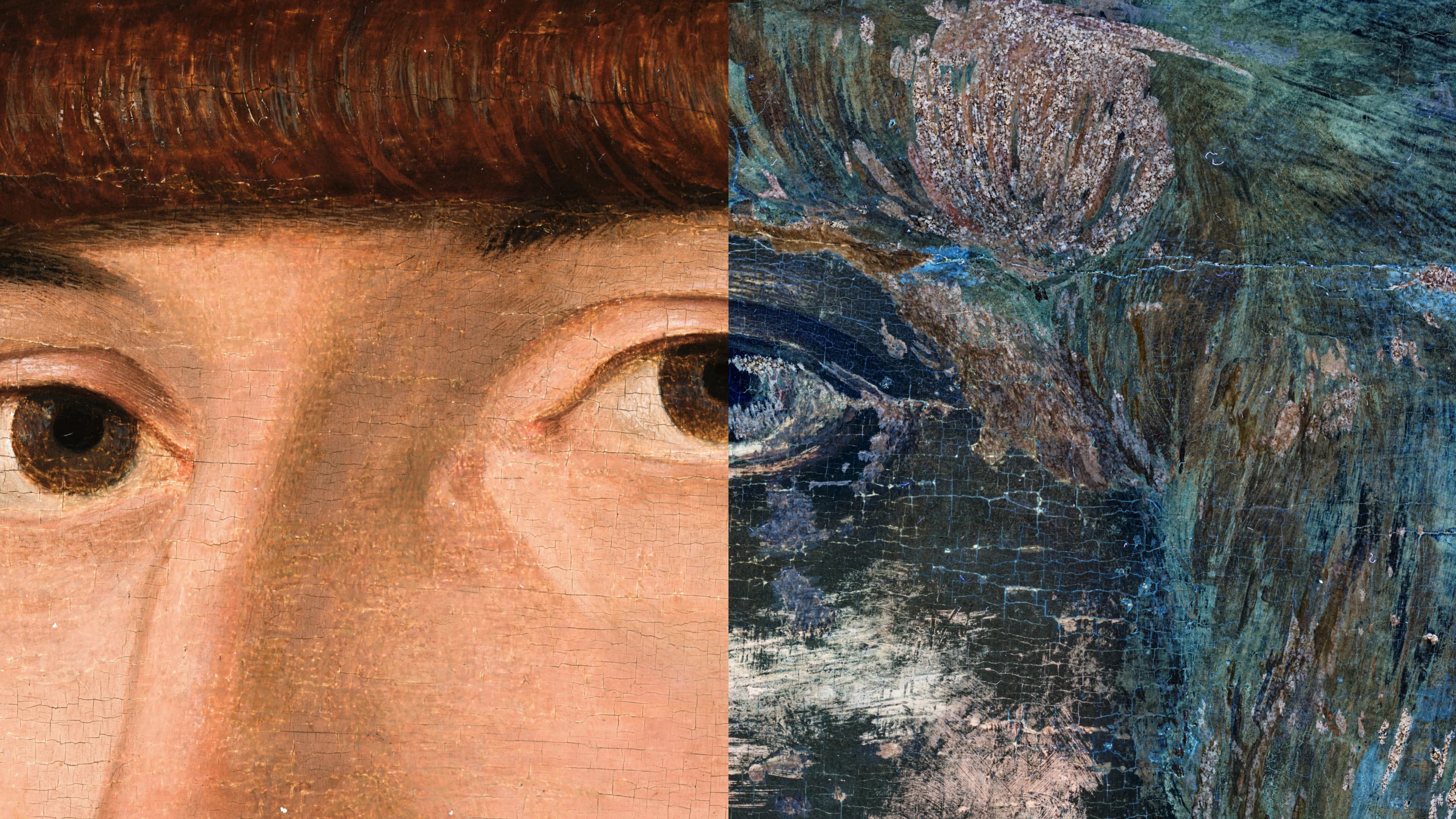 Bellini eye detail — 4000 dpi capture